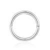 Hoops Impuria Jewelry | Purity Simple 14K Gold Polished Hinged Hoop Ring Clicker