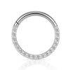 Hoop Clickers Impuria Jewelry | Glitter Crystal Pave Eternity Ear Piercing Ring Hoop Clicker